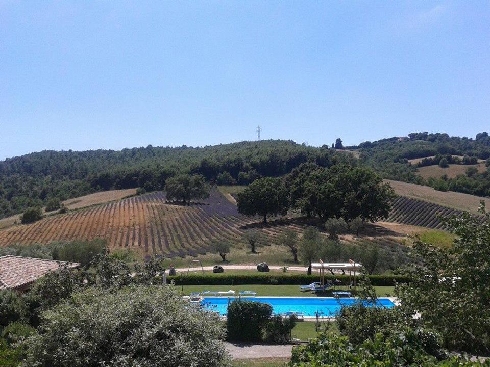 Il Poggio Di Teo Villa มันชาโน ภายนอก รูปภาพ