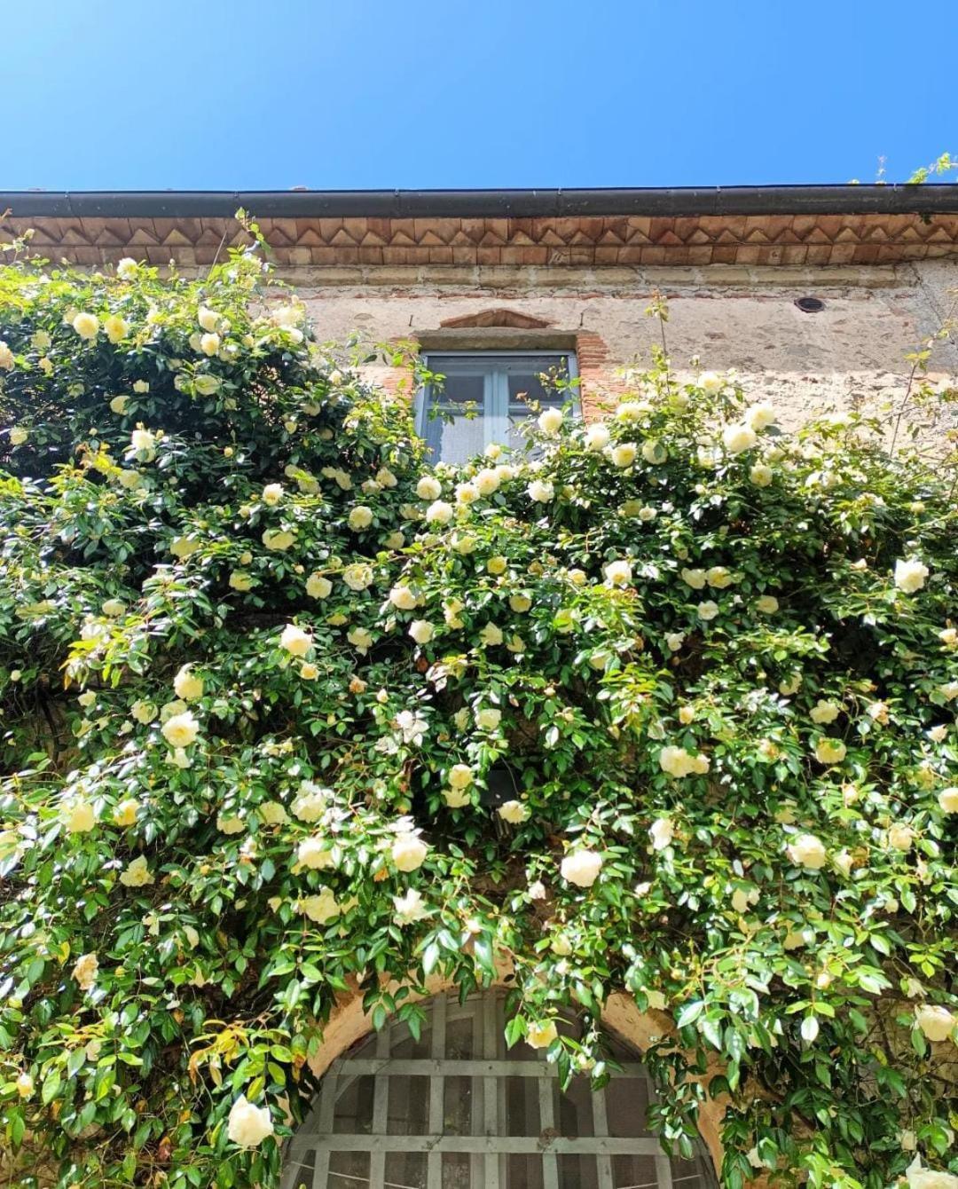 Il Poggio Di Teo Villa มันชาโน ภายนอก รูปภาพ