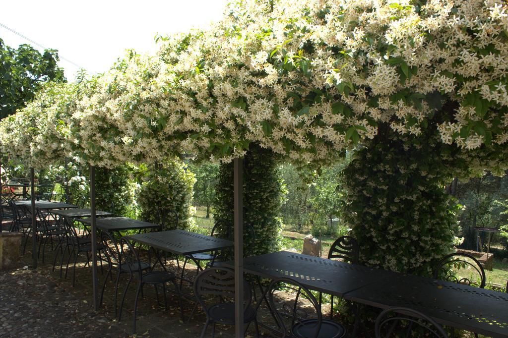 Il Poggio Di Teo Villa มันชาโน ภายนอก รูปภาพ